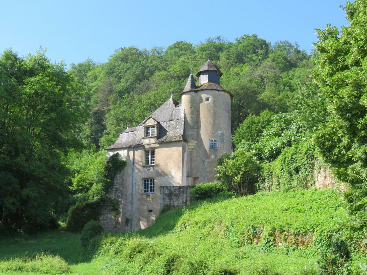 Bed and Breakfast Château de Gaubert à Terrasson Extérieur photo