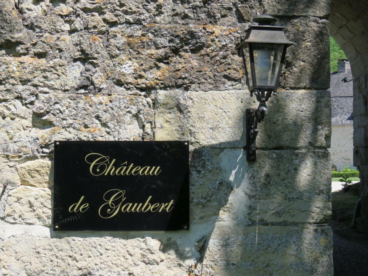 Bed and Breakfast Château de Gaubert à Terrasson Extérieur photo